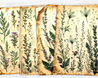 Botanical Junk Journal Papers: Plants Ephemera, 12x12 PNG (Digital Download)