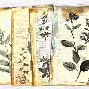 Papéis de diário de lixo botânico, itens vintage, florais vintage, papel de ervas, fundo vintage, imprimível botânico, páginas de diário de ervas