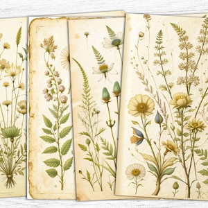 Carta per diario di erbe e botanica, carta digitale primaverile, download digitale, fiori scandinavi, arte floreale primaverile vintage