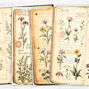 Papier pour carnet de notes botaniques, pages florales, journal imprimable, art floral, téléchargement numérique, usage commercial, papiers floraux minimaux