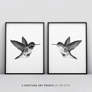 May include: A set of two black and white prints featuring a hummingbird in flight. The prints are framed in black frames and are ready to hang.