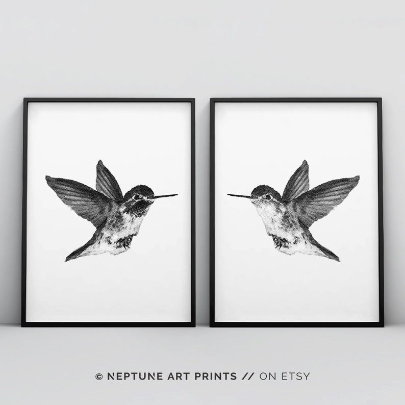 May include: A set of two black and white prints featuring a hummingbird in flight. The prints are framed in black frames and are ready to hang.