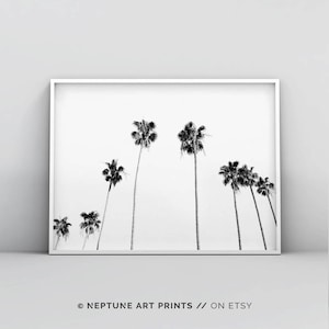 May include: Black and white photograph of palm trees against a white background. The image is framed in a white frame.