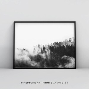 May include: Black and white photograph of a forest with fog rolling through the trees.