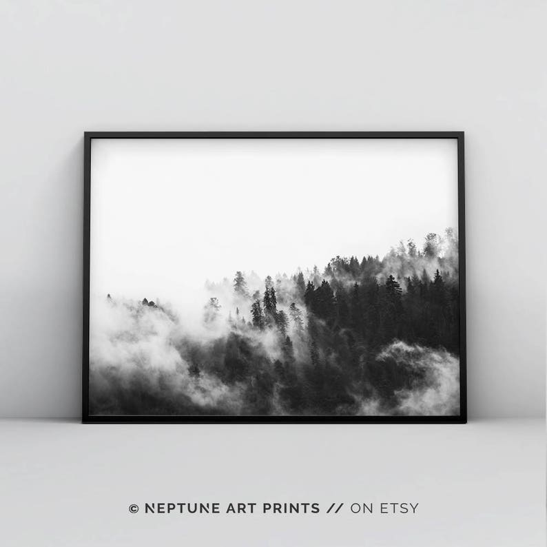 May include: Black and white photograph of a forest with fog rolling through the trees.