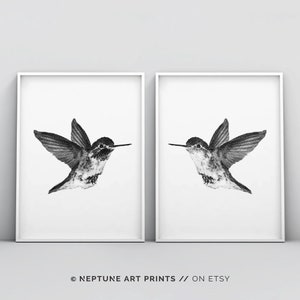 May include: Two black and white prints of hummingbirds in flight, each print is framed in a white frame.