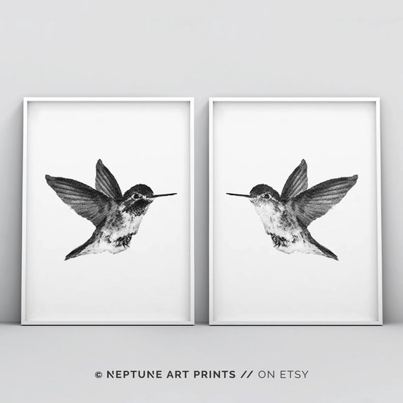 2 Piece Hummingbird Print, Bird Print, Hummingbird Wall Art, Minimalist, Bird Art, Black and White Drawing, Illustration Art, Stipple Poster