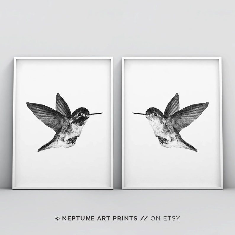 May include: Two black and white prints of hummingbirds in flight, each print is framed in a white frame.