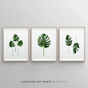 Monstera Leaves Print Set, Set of 3 Piece Tropical Palm Leaf Wall Art, Monstera Deliciosa Posters, Tropical Plant, Botanical Art, Green Leaf