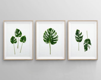 Monstera Leaves Print Set, Set of 3 Piece Tropical Palm Leaf Wall Art, Monstera Deliciosa Posters, Tropical Plant, Botanical Art, Green Leaf