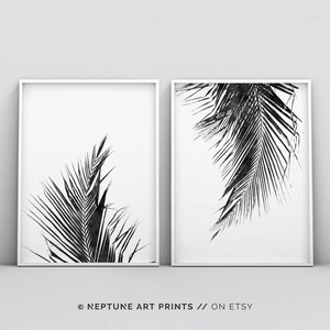 May include: Two black and white prints of palm leaves in a minimalist style. The prints are framed in white frames and are hung on a white wall.