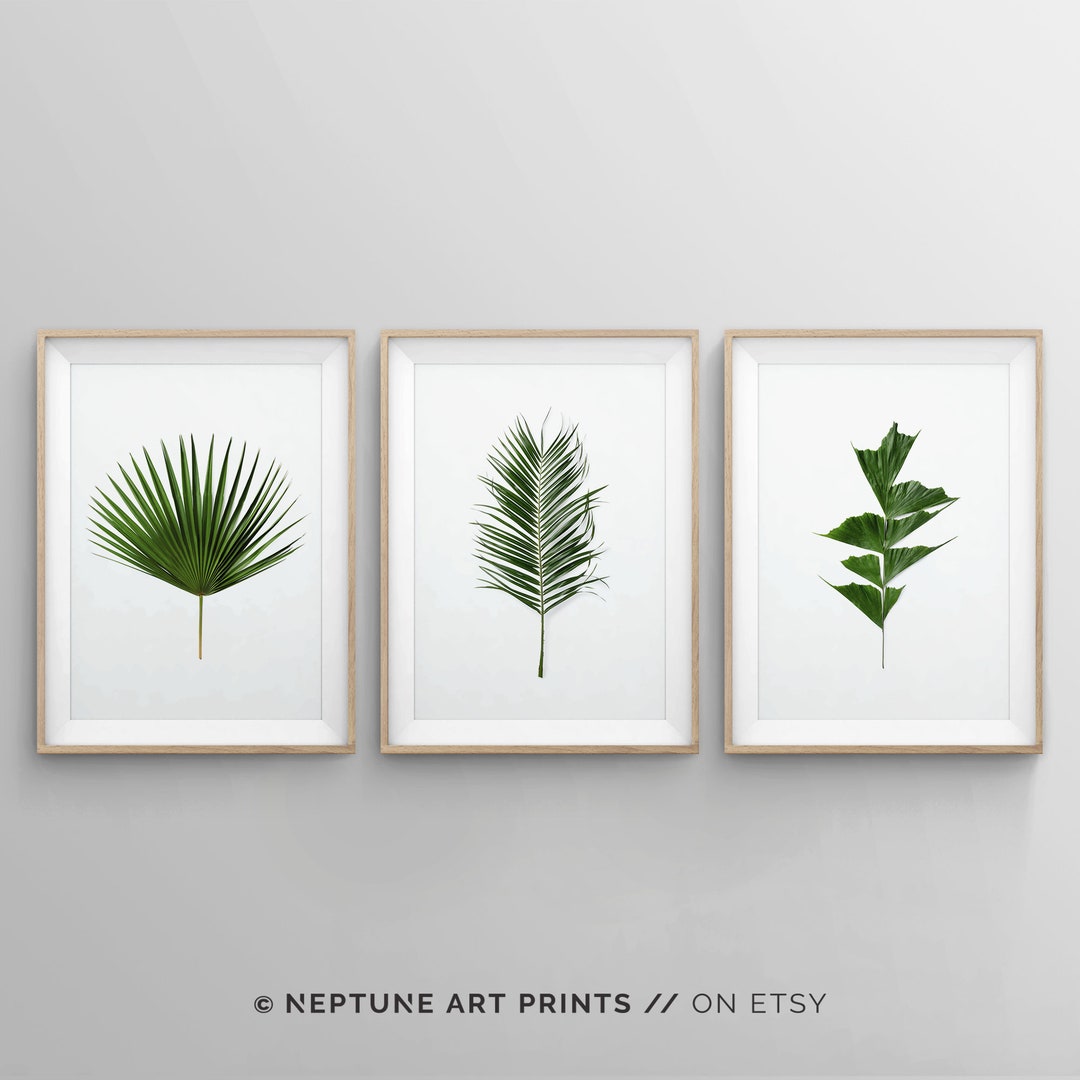Palm Fan Leaves Print Set, Set of 3 Piece Tropical Palm Leaf Wall Art ...