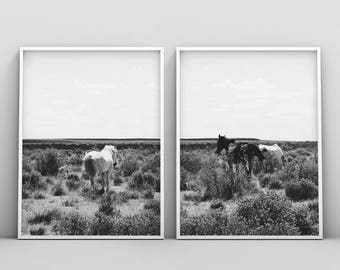 Impresión de caballos, fotografía en blanco y negro, arte de la pared de impresión de caballo, foto del caballo salvaje, impresión de la naturaleza, ecuestre, arte imprimible, conjunto de 2 arte