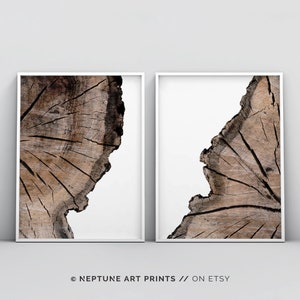 Large Tree Rings Print, Set of 2 Prints, Brown Coloured Tree Print, Pine Tree Ring Printable Art, Log Wood Slice Prints, 16x20, 18x24, 24x36