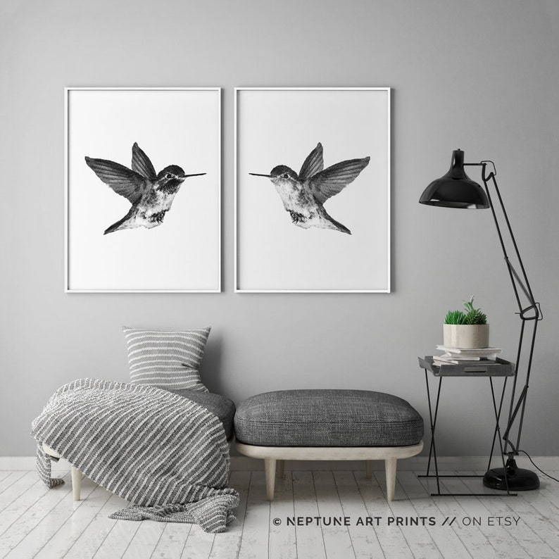 May include: Two black and white prints of hummingbirds in flight, framed in white, hanging on a grey wall. The prints are displayed above a grey sofa with a striped throw blanket and a grey footstool.