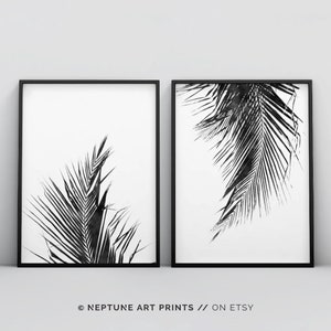 May include: Two black and white framed prints of palm leaves. The prints are on a white background and the leaves are in a minimalist style.