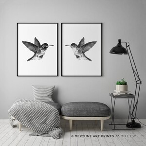 May include: A pair of black and white prints depicting a hummingbird in flight. The prints are framed in black and are displayed on a grey wall above a grey sofa.