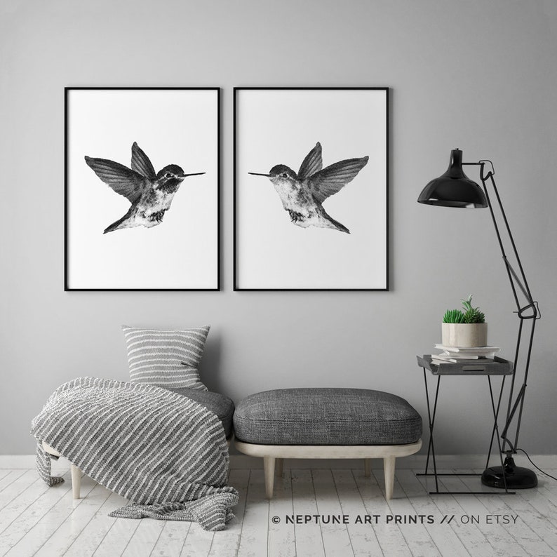 May include: A pair of black and white prints depicting a hummingbird in flight. The prints are framed in black and are displayed on a grey wall above a grey sofa.