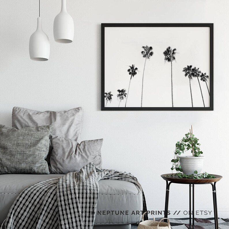May include: Black and white photograph of palm trees against a white sky. The photo is framed in a black frame and is hanging on a white wall above a gray couch with pillows and a throw blanket.