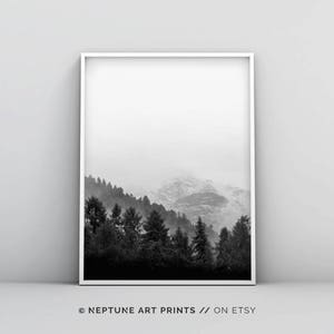 Black and White Woodland Printable, Forest Photography Printable ...