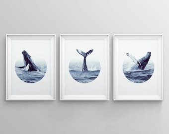 Whale Art Print, Whale Print, Modern Poster, Coastal Art Decor Humpback Beluga Orca Nautical Nursery Top Sellers Printable Wall Art Digital