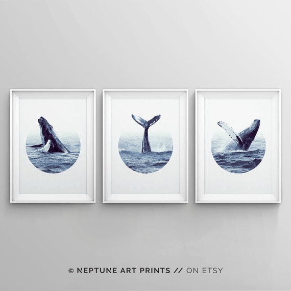 Whale Art Print, Whale Print, Modern Poster, Coastal Art Decor Humpback Beluga Orca Nautical Nursery Top Sellers Printable Wall Art Digital