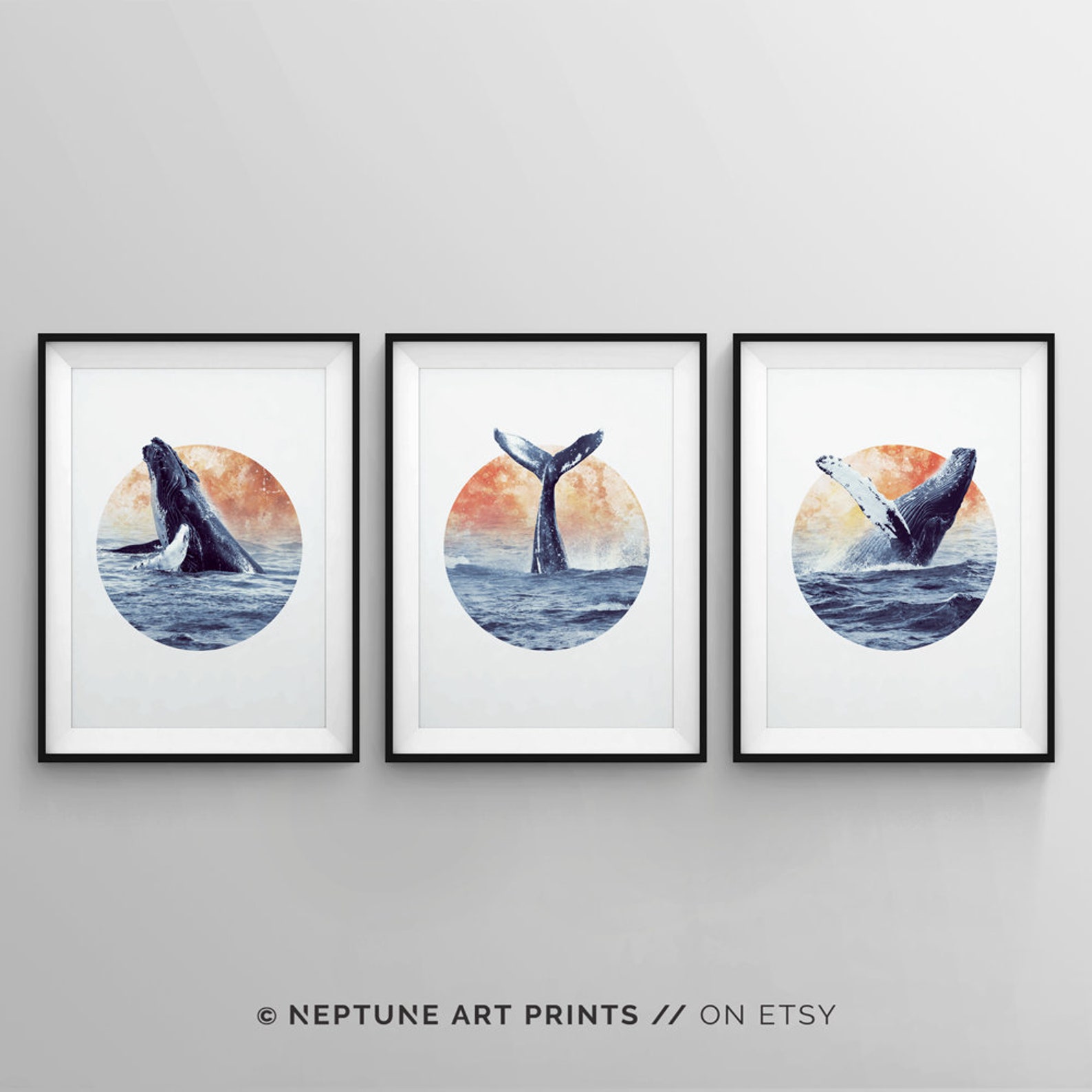 Set of 3 Whale Art Print Bathroom Art Sea Life Print Baby | Etsy