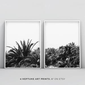 Palm Tree Print, Black and White Palm Trees, Tropical Wall Art, Californian Palm Tree Print, 2 Piece Modern Wall Prints, Instant Download