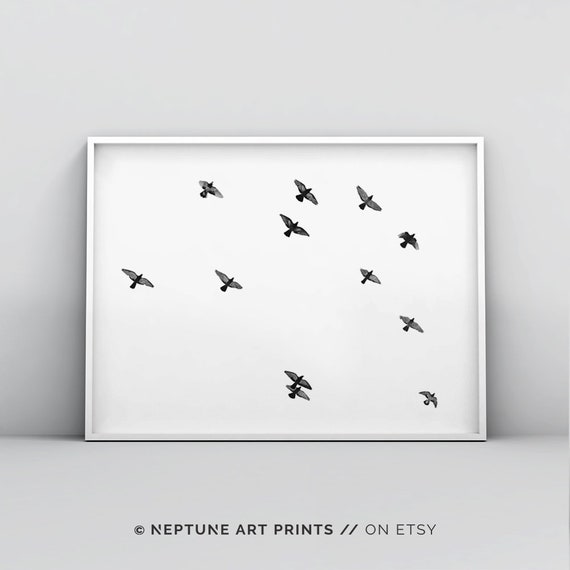 Vogel Bild Vogelschwarm Zeichnen