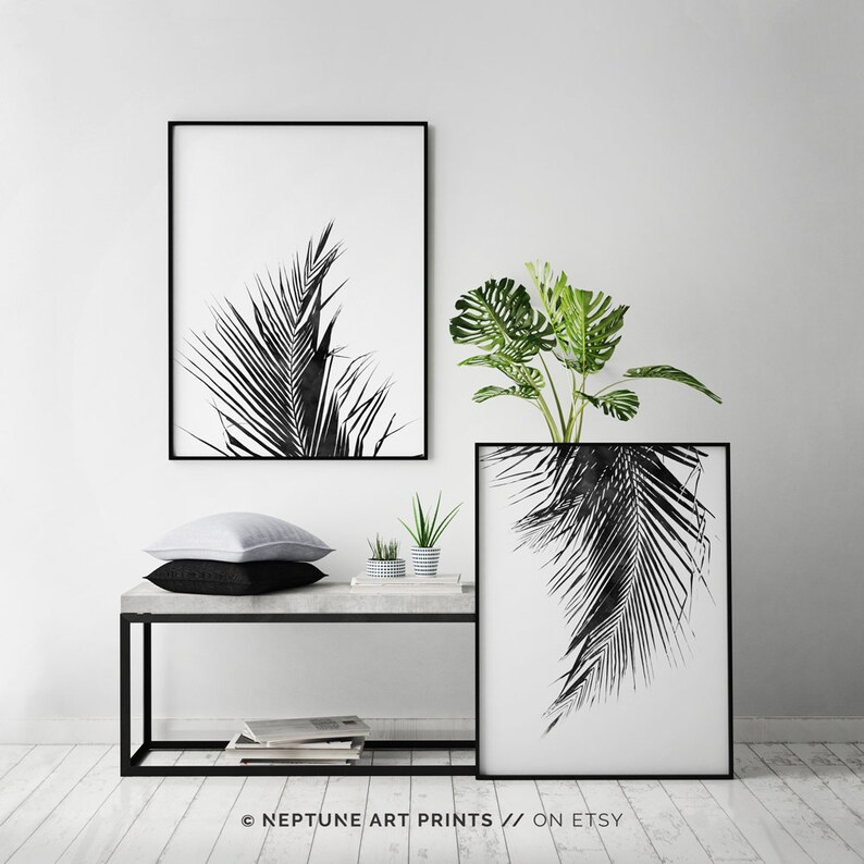 May include: Two black and white prints of palm leaves in black frames, hanging on a white wall. A small green plant is on a concrete shelf below the prints.