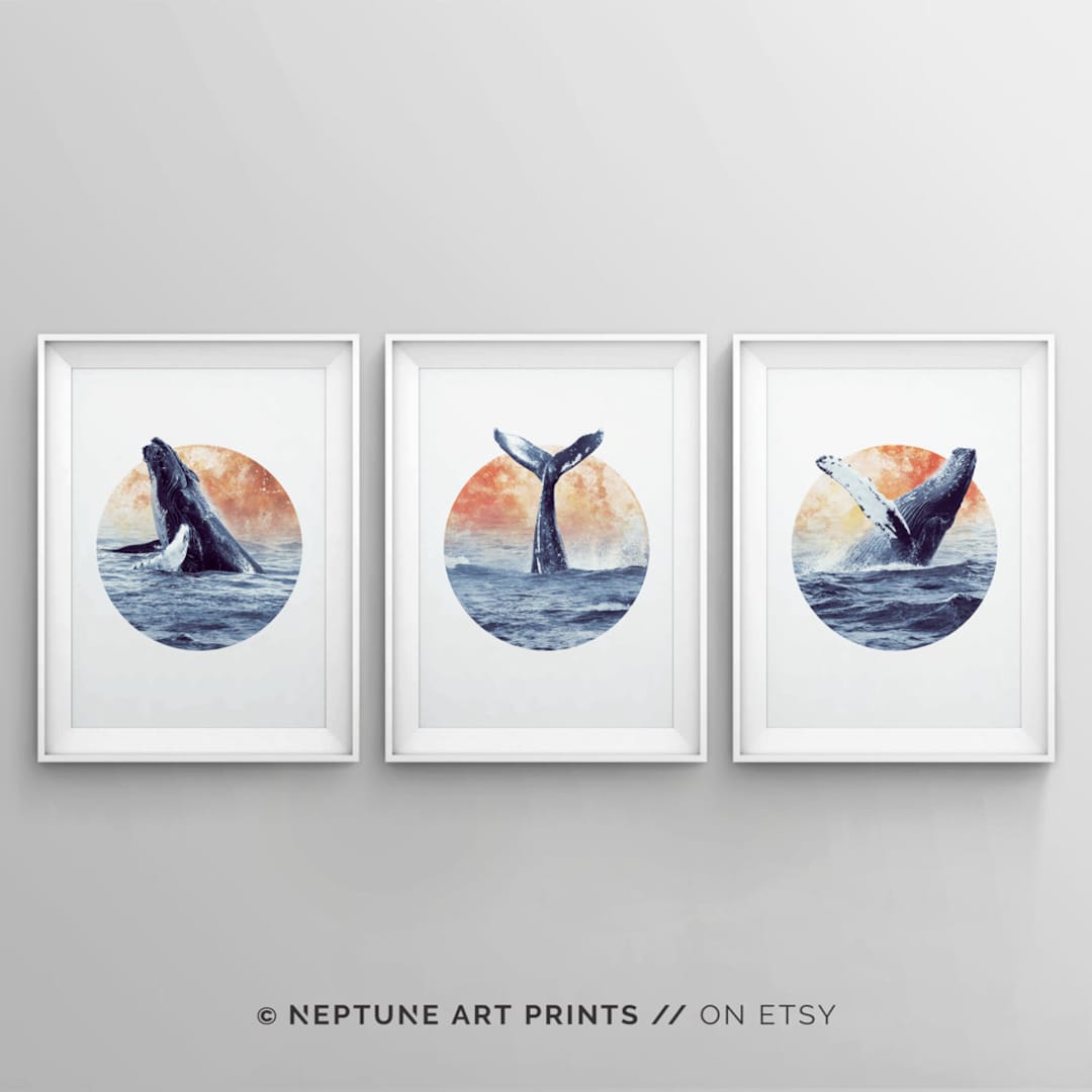 Set of 3 Whale Art Print, Bathroom Art, Sea Life Print, Baby Room ...
