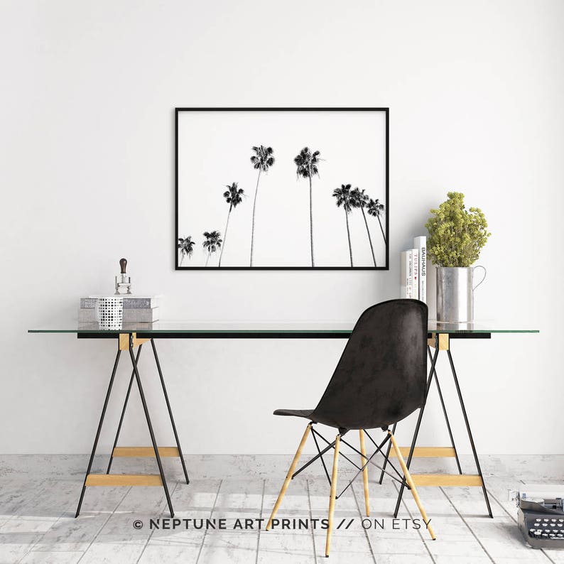 May include: Black and white photograph of palm trees against a white sky. The photo is framed in a black frame and is hanging on a white wall above a glass desk with a black chair.