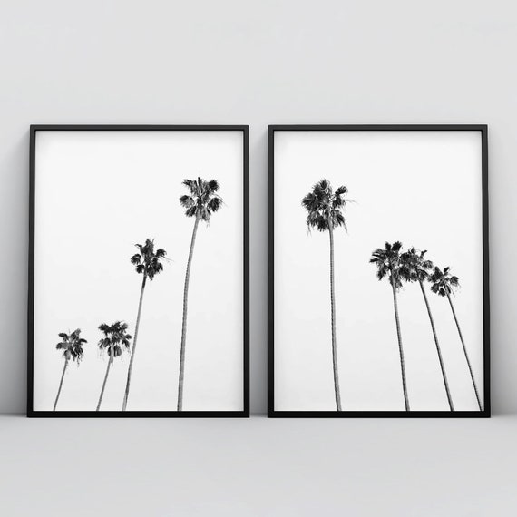 Minimalist Black and White Palm Tree Print - Palm Tree - Sticker