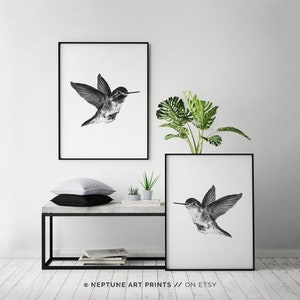 May include: Two black framed prints of a hummingbird in flight, one above the other, on a white wall. A small potted plant sits on a concrete shelf with a black metal frame.