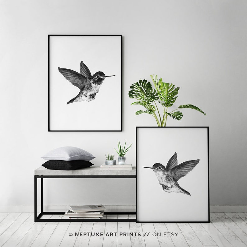 May include: Two black framed prints of a hummingbird in flight, one above the other, on a white wall. A small potted plant sits on a concrete shelf with a black metal frame.