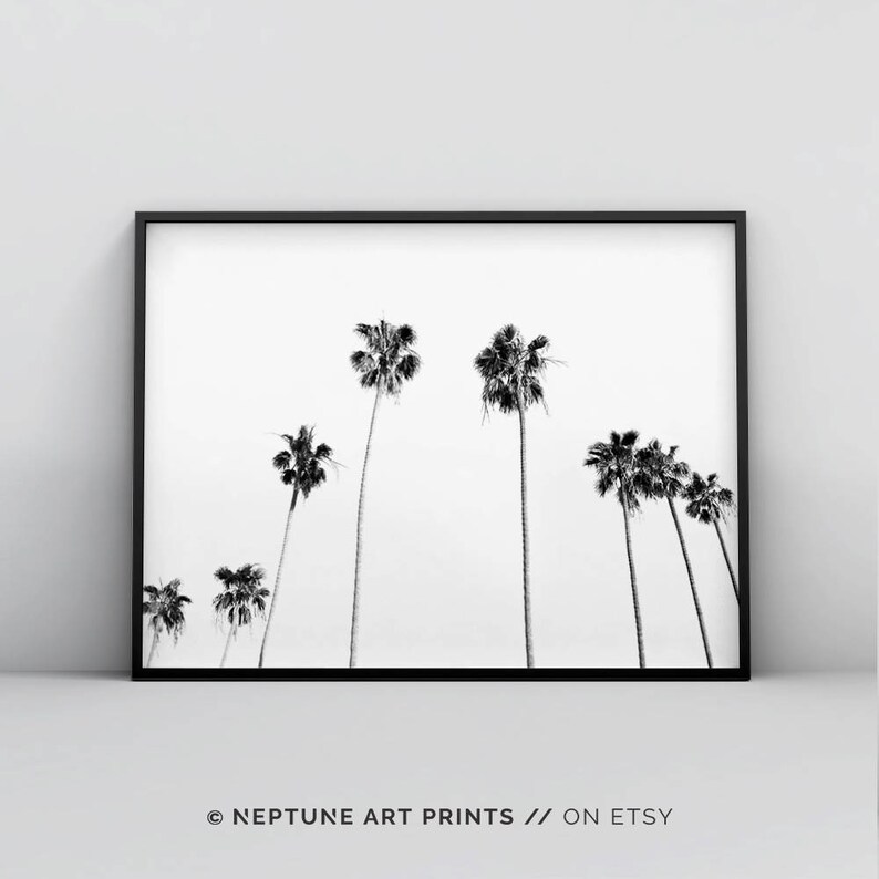May include: Black and white photograph of palm trees against a white background. The trees are silhouetted against the sky, creating a minimalist and modern aesthetic.