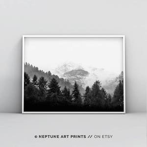 Forest Print, Forest Photography, Woodland Print, Black and White Forest, Forest Art, Nature Photography, Nature Wall Art, Minimalist Art