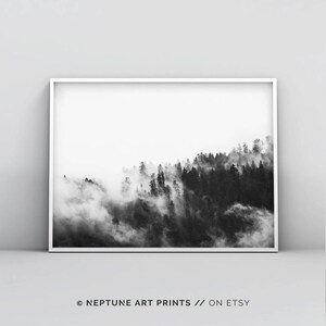 May include: Black and white photograph of a forest with fog rolling through the trees.