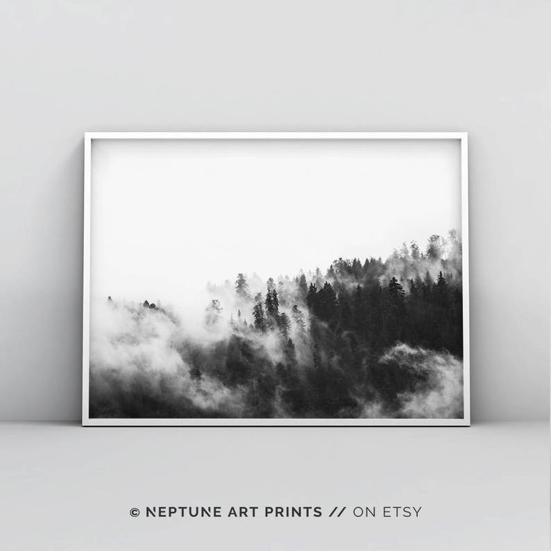 May include: Black and white photograph of a forest with fog rolling through the trees.