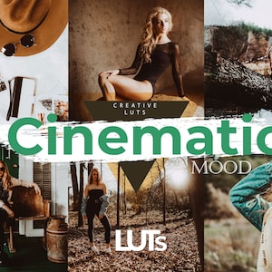 Cinematic Mood Luts pour Adobe Premiere, After Effects, Speed Grade, Avid, Da Vinci Resolve, Edius, Final Cut, Photoshop