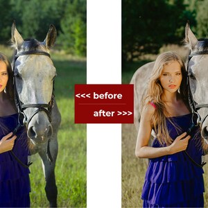 May include: A woman in a blue dress stands next to a white horse in a field. The horse is wearing a black bridle.