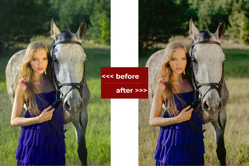 May include: A woman in a blue dress stands next to a white horse in a field. The horse is wearing a black bridle.