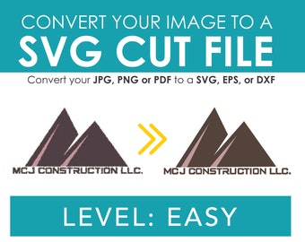 Convert File to SVG Level: EASY - Vector file creator, Image to vector, Logo Conversion, Raster to vector, Custom SVG Cut File, svg Logo