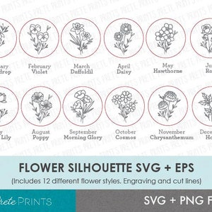 Puede incluir: Un conjunto de 12 archivos SVG y EPS de siluetas de flores. Cada archivo presenta un dise&ntilde;o de flor diferente, incluyendo un galanto, una violeta, un narciso, una margarita, un espino blanco, una rosa, un nen&uacute;far, una amapola, una gloria de la ma&ntilde;ana, un cosmos, un crisantemo y un acebo.