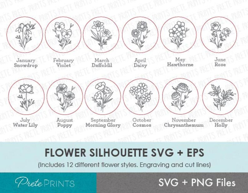 Puede incluir: Un conjunto de 12 archivos SVG y EPS de siluetas de flores. Cada archivo presenta un dise&ntilde;o de flor diferente, incluyendo un galanto, una violeta, un narciso, una margarita, un espino blanco, una rosa, un nen&uacute;far, una amapola, una gloria de la ma&ntilde;ana, un cosmos, un crisantemo y un acebo.