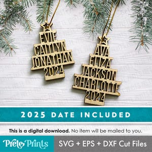 Family Name Tree Ornaments - Family Christmas Ornament SVG, Customize Christmas Ornament SVG, Personalize Ornament