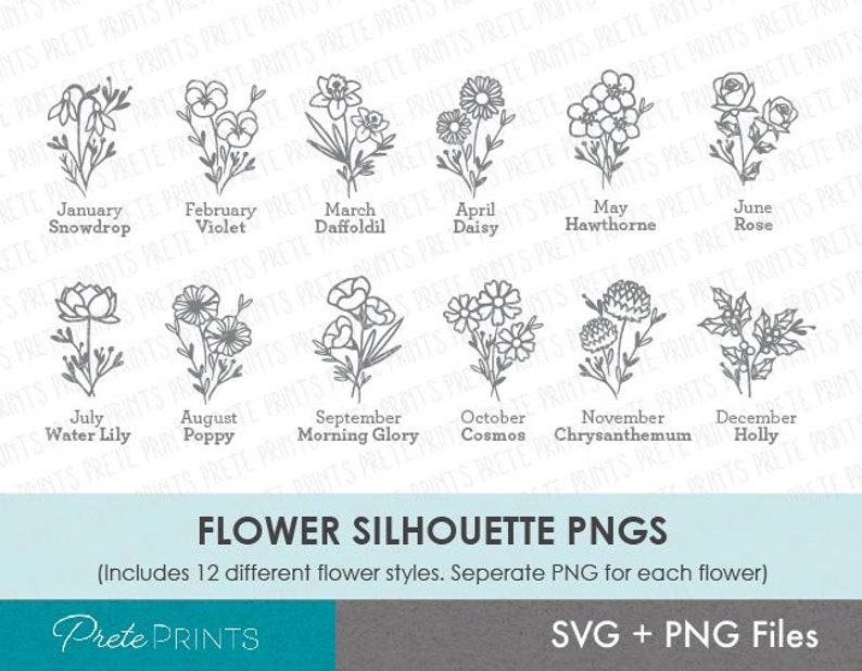 Puede incluir: Un conjunto de 12 ilustraciones de siluetas de flores en blanco y negro. Cada flor est&aacute; etiquetada con su nombre y el mes en que florece. Las flores incluyen campanilla de invierno, violeta, narciso, margarita, espino blanco, rosa, nen&uacute;far, amapola, gloria de la ma&ntilde;ana, cosmos, crisantemo y acebo.