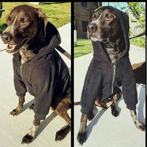 Made to Order Dog Zip Up Hoodie in Black Polar Fleece with Rib Knit Cuffs and Hem