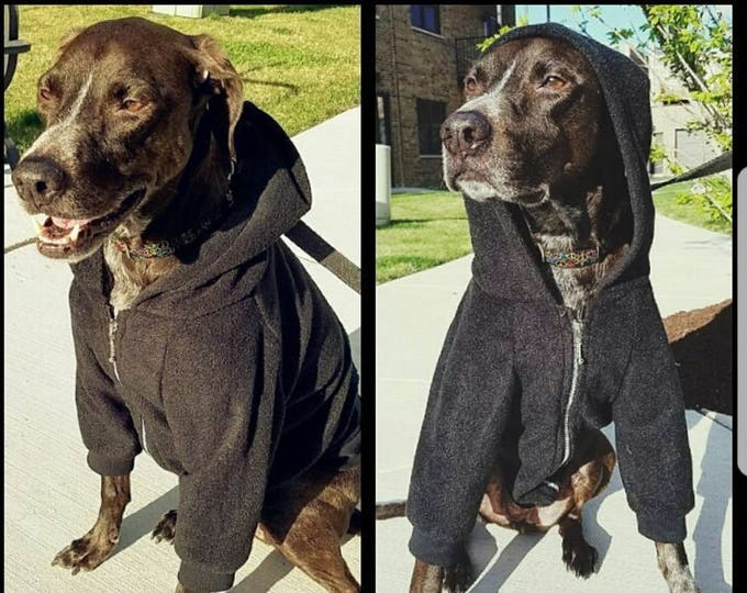 Stars and Stripes Fashion Dog Zip-Up Hoodie