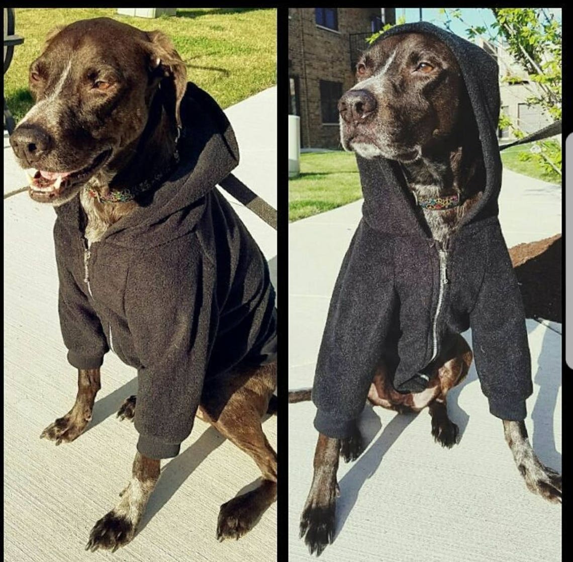 Xmas Camo Green Athletic Dog Zip-Up Hoodie